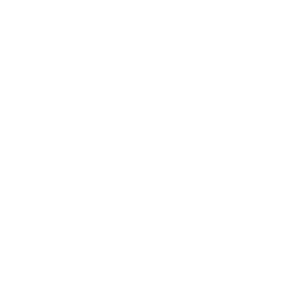 Skjáskot